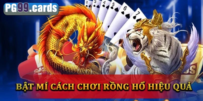 rồng hổ