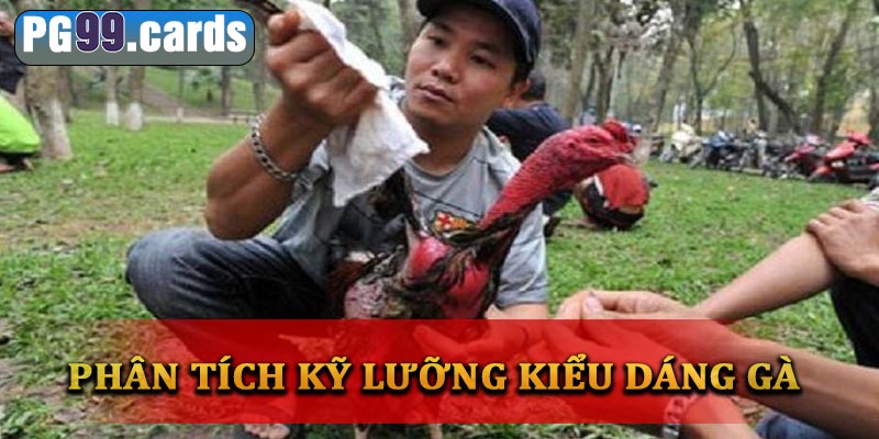 Phân tích kỹ lưỡng các kiểu dáng gà đá