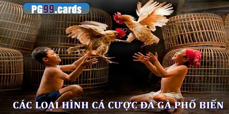 Các loại hình cá cược đá gà phổ biến nhất hiện nay người chơi cần biết