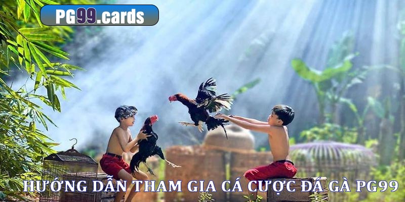 Chiến lược đặt cược đá gà hiệu quả dành chon tân thủ