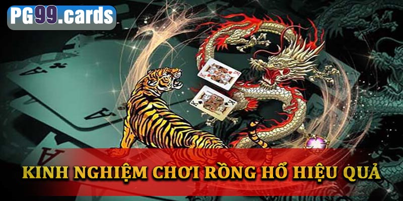 Bỏ túi kinh nghiệm chơi rồng hổ một cách hiệu quả nhất